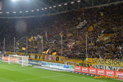 Dynamo Dresden vs. Borussia Dortmund II