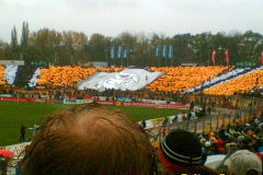 Dynam Dresden vs. Union Berlin