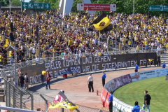 Dynamo Dresden vs. Kickers Emden