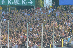 Dynamo Dresden vs. Schalke 04