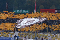 Dynamo Dresden vs. SV Babelsberg 03