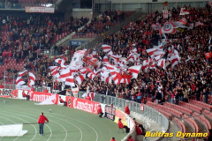 VfB Stuttgart vs. Partizan Belgrad