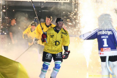 Dresdner Eislöwen vs. Dynamo Dresden