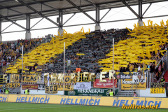 FC Ingolstadt vs. Dynamo Dresden