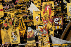 Dynamo Dresden vs. Energie Cottbus