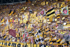 Dynamo Dresden vs. VfB Stuttgart II