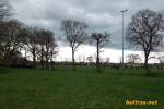 011-dsc01436