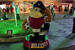 20241018_175236-markus-xperia5v