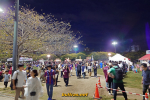 20241018_175758-markus-xperia5v